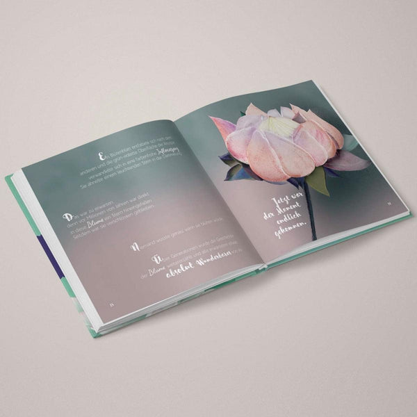 "Die Fee Dalia"Buch 1