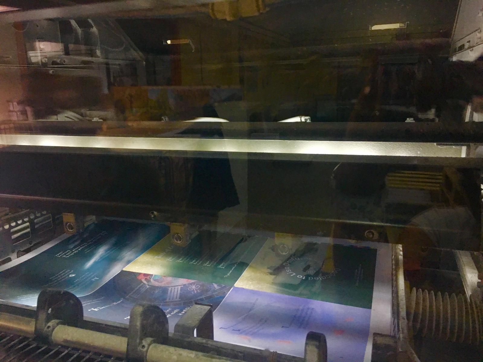 Printing of Fairy Dalia Book 2 — photo 5